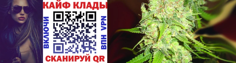 Виды наркоты Порхов ГАШИШ  Конопля  A PVP  Мефедрон  COCAIN 