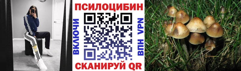 кракен ONION  Порхов  Галлюциногенные грибы мухоморы 